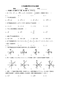 广东省佛山市南海区平洲第二初级中学2024-2025学年八年级上学期第一次月考数学试卷(无答案)