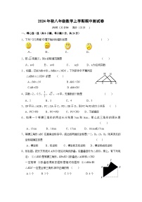 2024年秋人教版八年级数学上学期期中测试卷