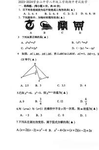 福建省龙岩市紫金山中学2023-2024学年八年级上学期期中考试数学试题