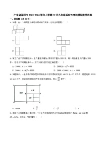 广东省深圳市2023-2024学年上学期12月九年级适应性考试模拟数学试卷