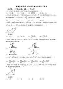 上海市嘉定区新城实验中学2022-2023学年九年级上学期期中考试数学试卷(无答案)