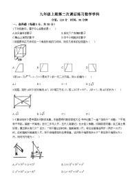 河南省郑州经济技术开发区第四中学2024-2025学年上学期九年级期中考试数学试卷(无答案)
