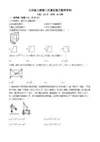 河南省郑州经济技术开发区第四中学2024-2025学年上学期九年级期中考试数学试卷(无答案)
