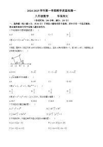 河南省周口市淮阳区2024-2025学年八年级上学期10月月考数学试题