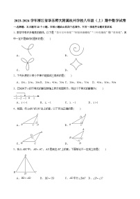 浙江省杭州市拱墅区华东师大附属杭州中学2023—2024学年上学期期中考试八年级数学试卷