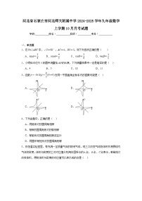 河北省石家庄市河北师大附属中学2024-2025学年九年级数学上学期10月月考试题