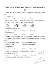 广西南宁市青秀区2024-2025学年八年级上学期月考数学试卷（10月份）