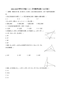 广东省惠州市2024-2025学年八年级上学期月考数学试卷 （10月份）