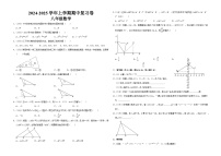 甘肃省嘉峪关市2024-2025学年上学期八年级数学期中复习试卷