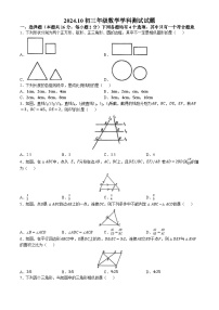 北京市顺义区仁和中学2024—2025学年上学期10月月考九年级数学试题(无答案)