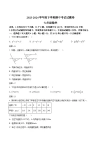 江西省九江市修水县2023-2024学年七年级下学期期中考试数学试卷(含答案)
