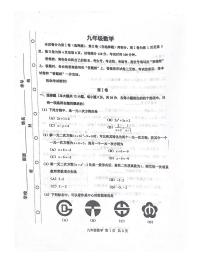 天津市红桥区2024--2025学年上学期九年级数学期中试卷
