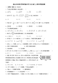 四川省眉山市东坡区苏洵初级中学2024—2025学年上学期期中质量监测九年级数学试题