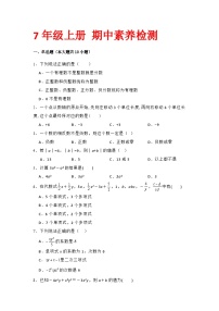 期中素养检测2024-2025学年华东师大版数学七年级上册