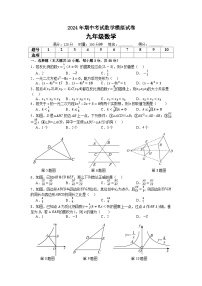 湖南省 娄底市 娄星区2024-2025学年九年级期上学期期中考试数学模拟试卷