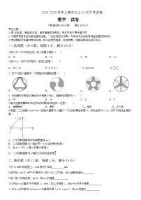 上海市浦东新区2024-2025学年九年级上学期10月月考数学试题