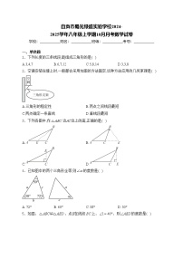 自贡市蜀光绿盛实验学校2024-2025学年八年级上学期10月月考数学试卷(含答案)