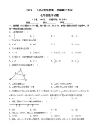 河北省秦皇岛市海港区2023-2024学年七年级上学期期中考试数学试卷(无答案)