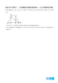 2025年中考数学复习 二次函数综压轴题专题训练——关于线段周长问题（原卷版+解析版）
