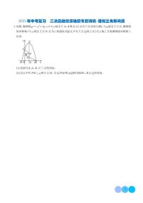 2025年中考数学复习 二次函数综压轴题专题训练——相似三角形问题（原卷版+解析版）