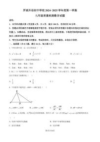 深圳罗湖外语初中学校2024—2025学年上学期九年级10月月考数学试卷（原卷版+解析版）