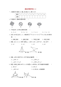 安徽省2024八年级数学上学期期末学情评估二试卷（附答案沪科版）