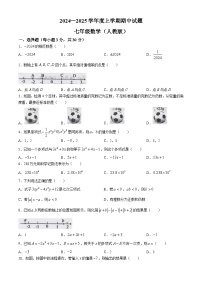 甘肃省陇南市康县2024-2025学年七年级上学期10月期中数学试题(无答案)