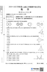 河北省廊坊市2024-2025学年八年级上学期10月期中数学试题