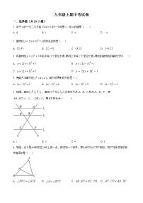 九年级上学期期中数学试题（华东师大版） (1)