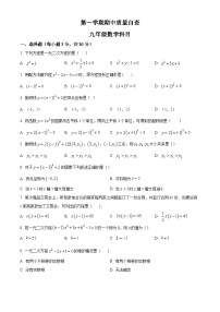 九年级上学期期中数学试题（人教版） (8)