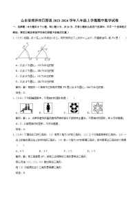 山东省菏泽市巨野县2023-2024学年八年级上学期期中考试数学试卷(含解析)