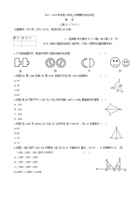 河北省廊坊市2024-2025学年八年级上学期10月期中考试数学试题