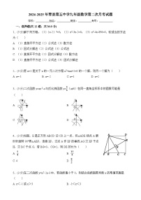 河北省沧州市青县第五中学2024-2025学年九年级上学期第二次月考数学试题