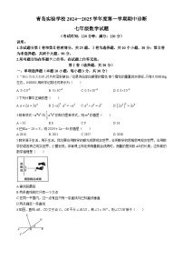 山东省青岛实验中学2024-2025学年七年级上学期期中考试数学试题(无答案)