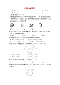 2024八年级数学上学期期末综合素质评价试卷（附答案鲁教版五四制）