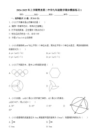 河北省 沧州市青县第二中学2024-2025学年上学期九年级数学期末模拟练习1