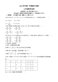 上海市宝山中学2024-2025学年 九年级上学期期中数学试卷(无答案)