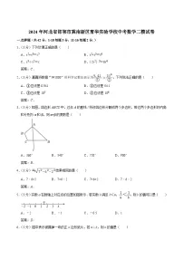 河北省邯郸市冀南新区育华实验学校2024届九年级下学期中考二模数学试卷(含答案)