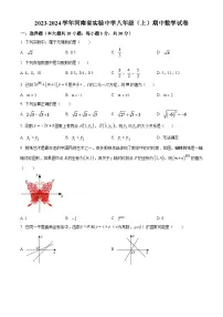 河南省实验中学2023-2024学年八年级上学期期中数学试题(解析版)