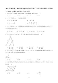 2024-2025学年上海市闵行区莘松中学九年级（上）月考数学试卷（9月份）（含解析）