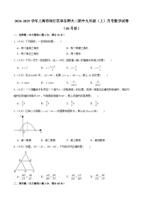 2024-2025学年上海市闵行区华东师大二附中九年级（上）月考数学试卷（10月份）（含解析）