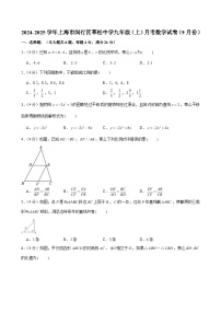 2024-2025学年上海市闵行区莘松中学九年级（上）月考数学试卷（9月份）（含解析）