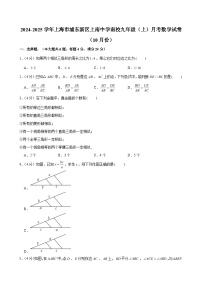 2024-2025学年上海市浦东新区上南中学南校九年级（上）月考数学试卷（10月份）（含解析）