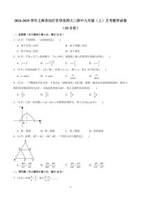 2024-2025学年上海市闵行区华东师大二附中九年级（上）月考数学试卷（10月份）（含解析）