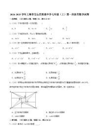 2024-2025学年上海市宝山区淞谊中学七年级（上）第一次段考数学试卷（含解析）