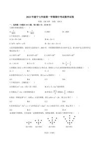 2023～2024学年湖南省株洲市天元区建宁实验中学七年级（上）期中数学试卷（,无答案）