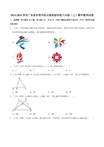 2023～2024学年广东省东莞市松山湖实验学校八年级（上）期中数学试卷（含答案）