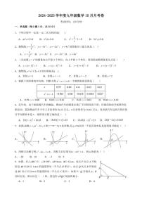 广东省惠州市第九中学2024～—2025学年上学期九年级数学10月月考试卷(含答案)
