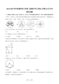 2024～2025学年北京市海淀区首都师范大学第二附属中学九年级上学期10月月考数学试题（含答案）