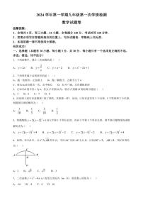 浙江省温州市苍南县2024～2025学年上学期第一次学情检测九年级月考数学试题（含答案）